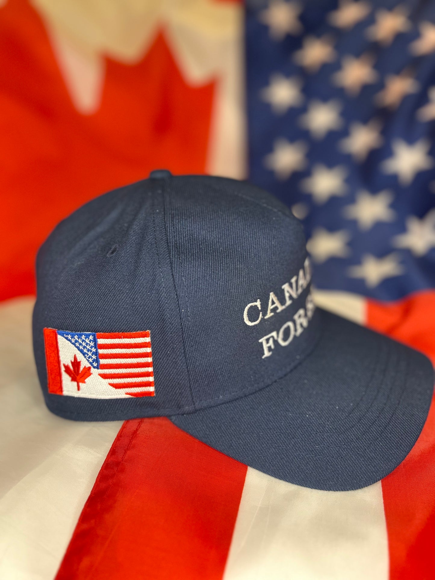 Canada Is For Sale Navy